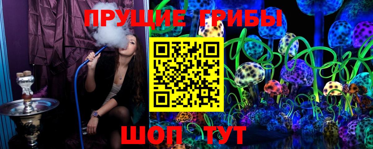 Псилоцибиновые грибы MAGIC MUSHROOMS  Псилоцибиновые грибы Psilocybine cubensis  Вход с VPN  Туймазы 